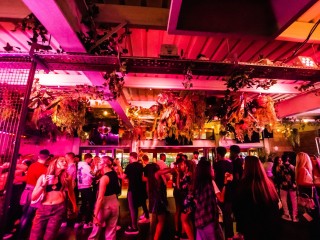 VIP Drinks Package Beers & Spirit | Modo thumbnail