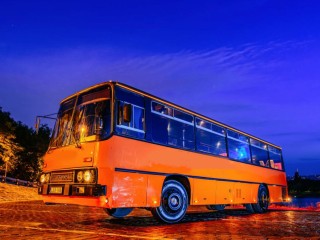 Party Bus With Striper thumbnail