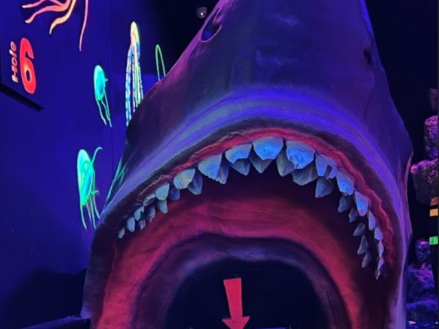 One Round Of Mini Golf & Drinks| One Under image