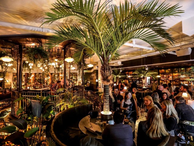 3 Course Meal | The Botanist image