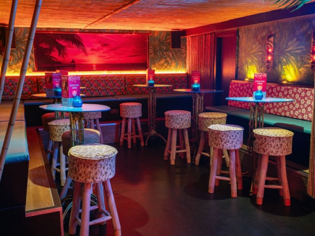 Tiki Cocktail Class | Tiki Hideaway image