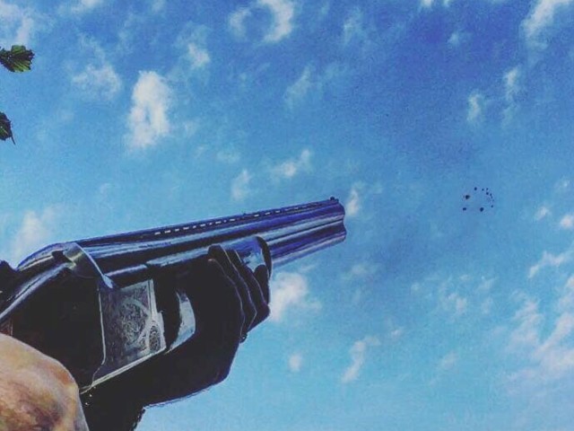 Clay Pigeon Shooting | 30 Shots image
