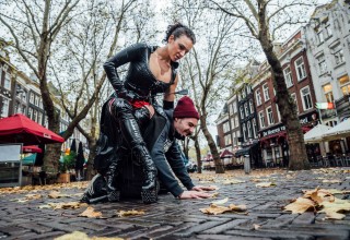 Bar Crawl | Dominatrix