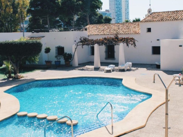 Oasis Apartments image