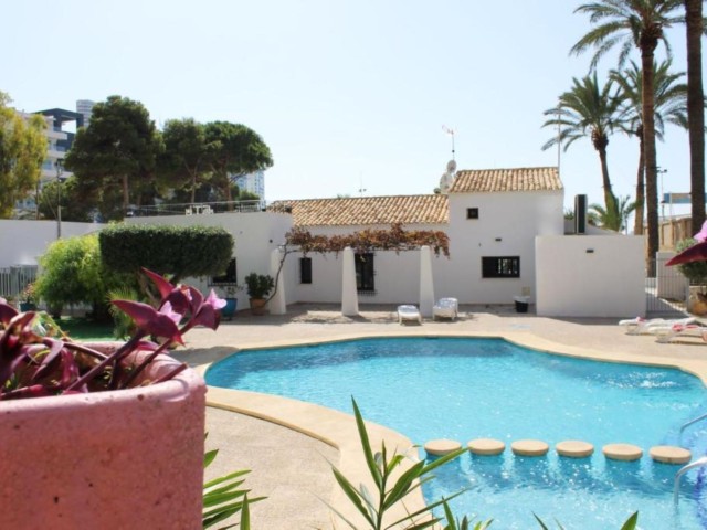 Oasis Apartments image