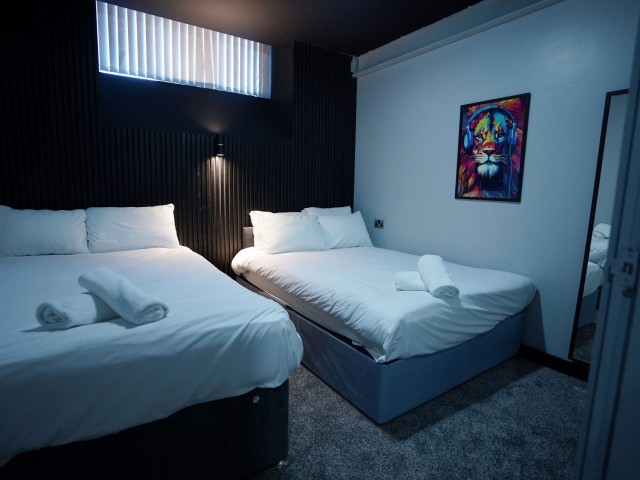 Mason Street Basement Apartment 1 - Nero Suite | Sleeps 14 image