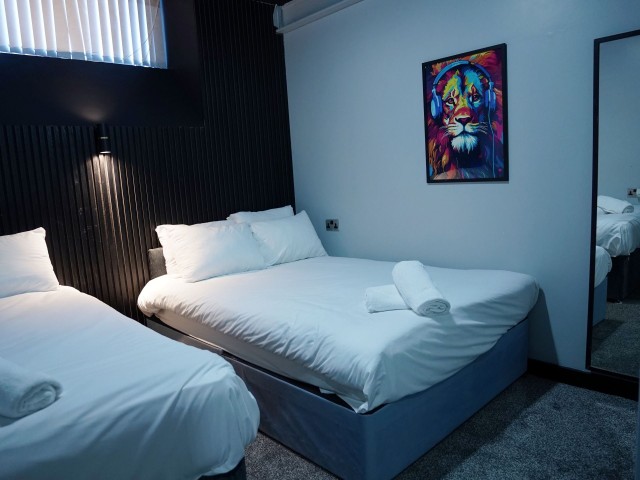 Mason Street Basement Apartment 1 - Nero Suite | Sleeps 14 image