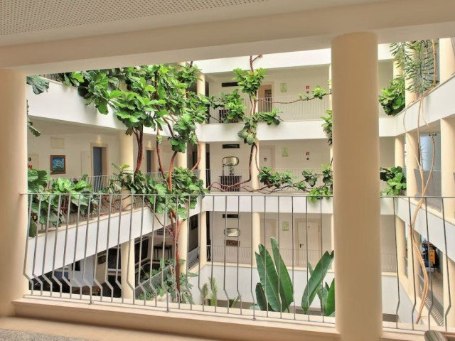 Vila Petra Aparthotel image