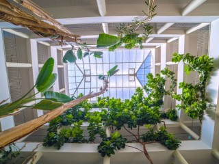 Vila Petra Aparthotel thumbnail