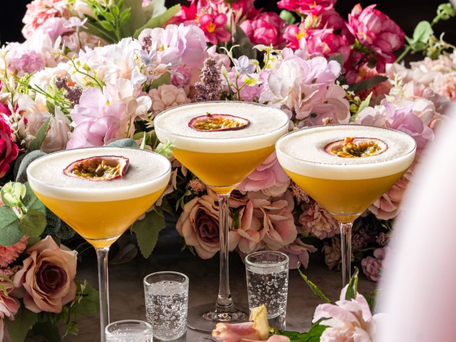 Menagerie | Bottomless Social Supper image