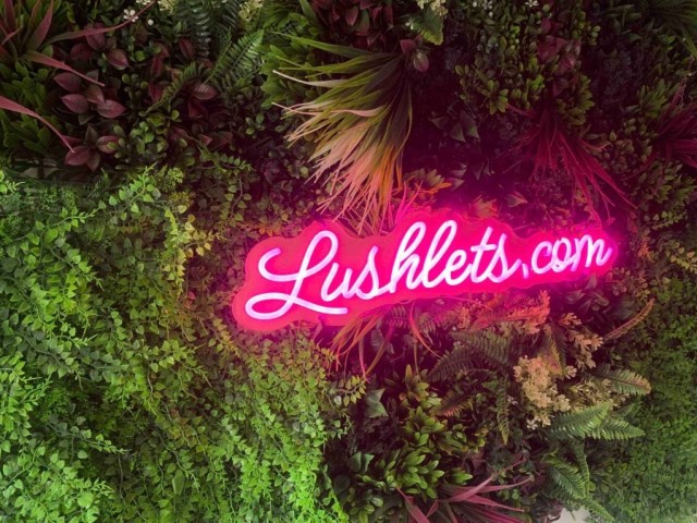 Duplex Apartment With Hot Tub | Sleeps upto 24 image