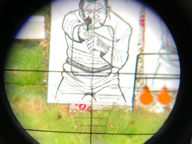 Archery, Air Rifle and Axe Throwing image