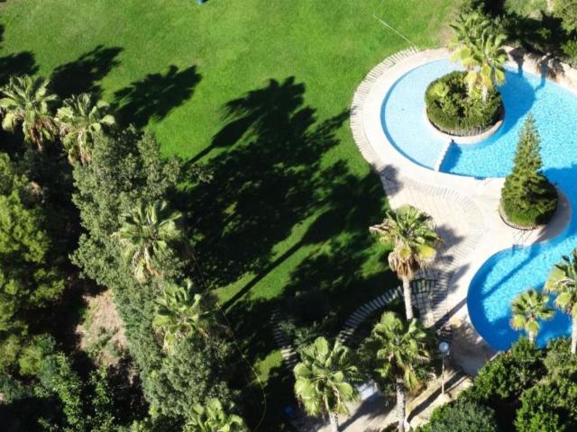 Benibeach Apartments image