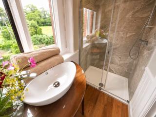 Shropshire | Old Rectory Sleeping 16, with Pool, Hot Tub and Games Room thumbnail