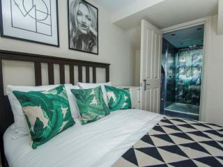 22 Sleeper Townhouse | With Rooftop Terrace thumbnail