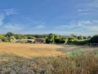 New Forest | Farmhouse and Lodge sleeps 20 with Hot tub thumbnail