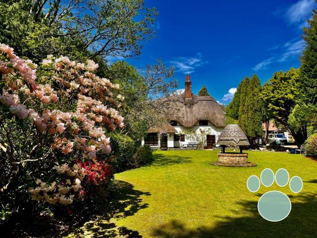 Dorset Cottage | Sleeps 16 image