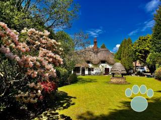 Dorset Cottage | Sleeps 16 thumbnail