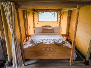 Suffolk | Glamping for upto 22/34 people thumbnail