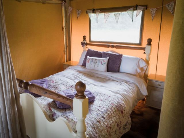 Suffolk | Glamping for upto 22/34 people image