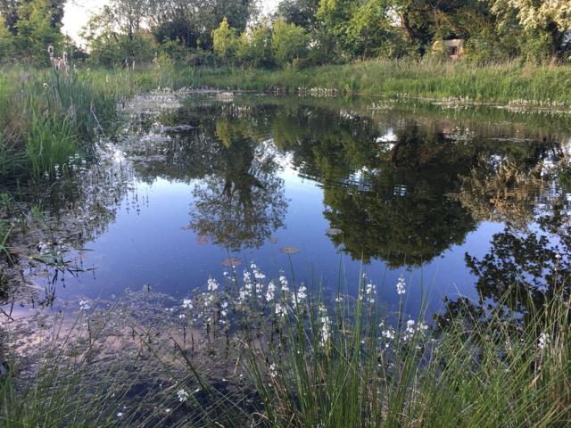 Suffolk | Glamping for upto 22/34 people image