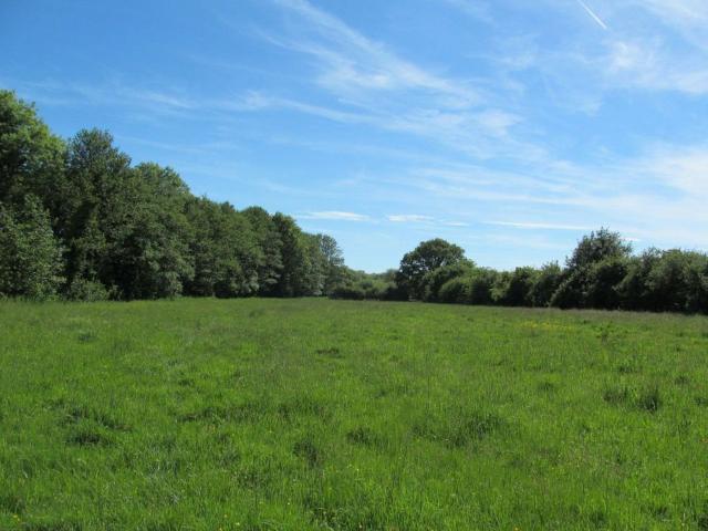 Suffolk | Glamping for upto 22/34 people image