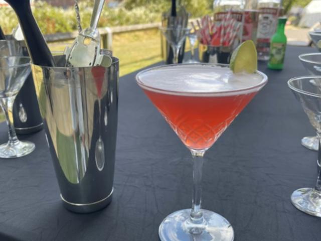 Mobile Cocktail Class at your Accommodation image