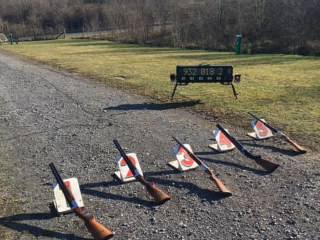 Clay Pigeon Shooting image